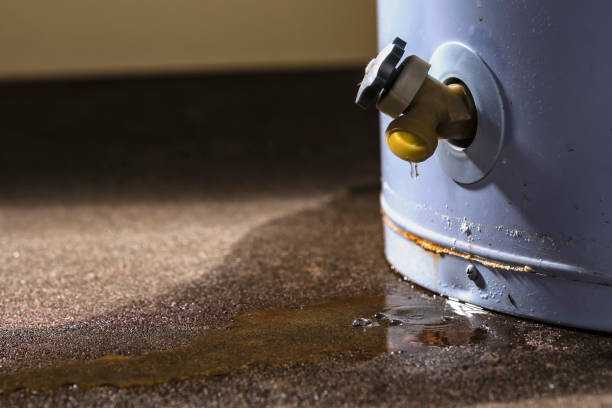 Trusted Dayton, WA Water damage restoration Experts