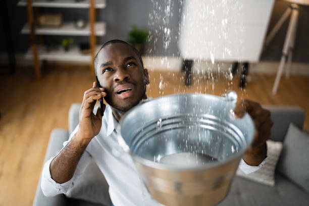 Best Ceiling water damage repair  in Dayton, WA