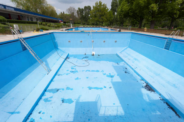 Best Professional water damage repair  in Dayton, WA