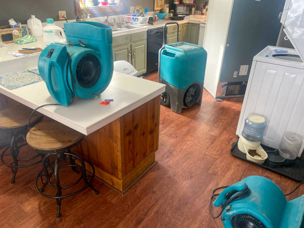 Water damage restoration insurance claims in Dayton, WA