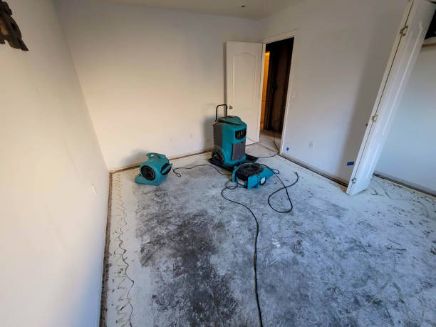 Best Flood restoration services  in Dayton, WA