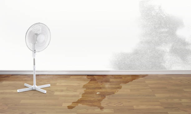 Best Water damage restoration company  in Dayton, WA