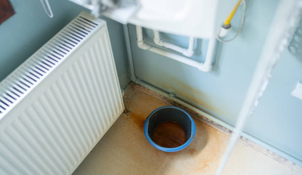 Best Flooded house restoration  in Dayton, WA