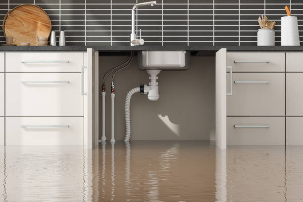 Best Basement water damage restoration  in Dayton, WA