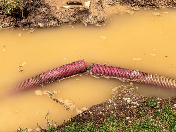 Best Emergency water damage restoration  in Dayton, WA