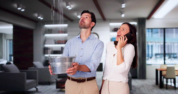 Best Water damage restoration near me  in Dayton, WA
